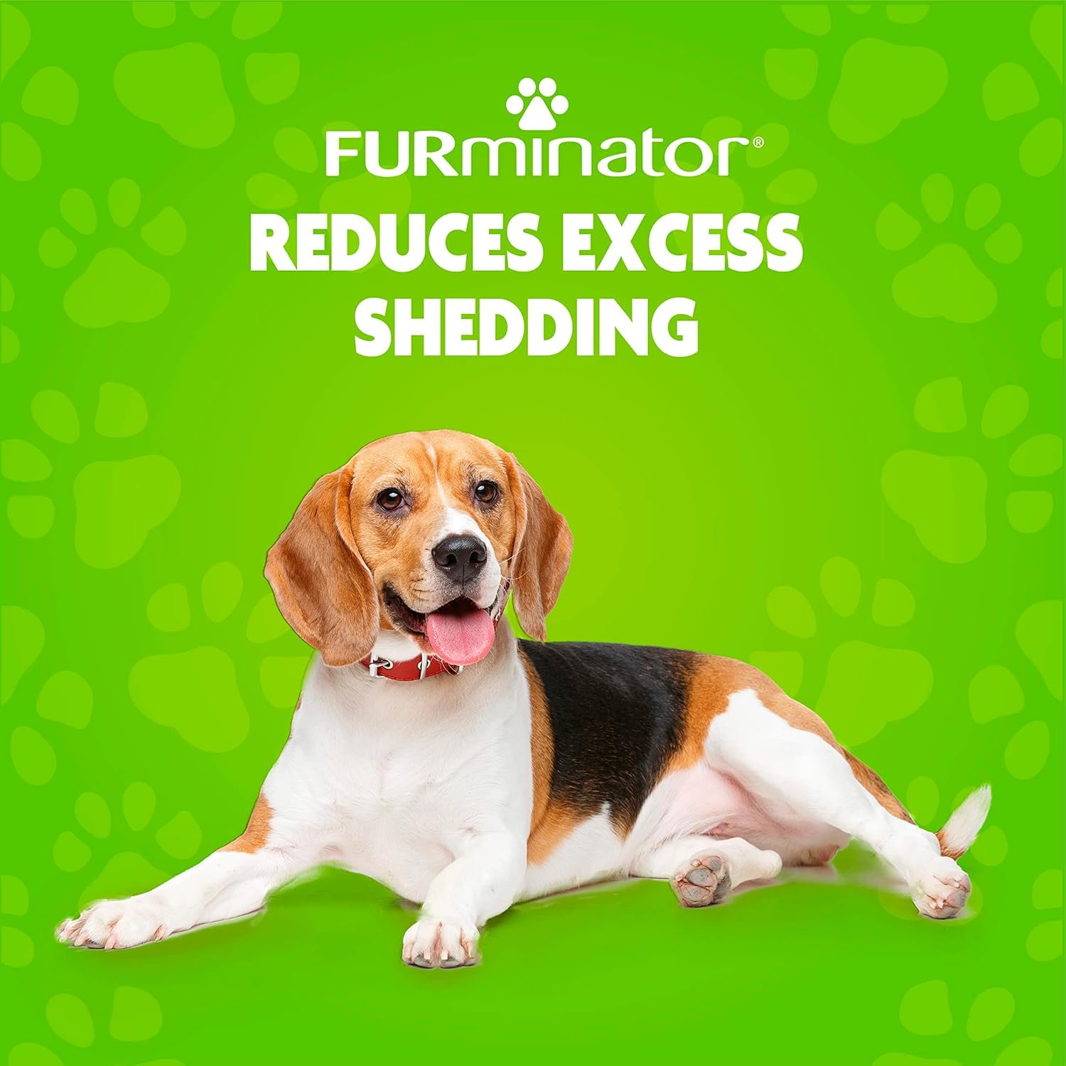 FURminator deShedding Kit, deShedding Shampoo, deShedding Conditioner, deShedding Waterless Spray, For Dogs, 40.5 oz (Set of 3) - Image 7