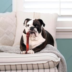 Alternative view of Nylabone Textured Bone Power Chew Toy for Dogs, Durable & Tough Dog Toys for Aggressive Chewers, Beef Jerky Flavor, X-Large Dogs - Over 50 Ibs, 1 Count