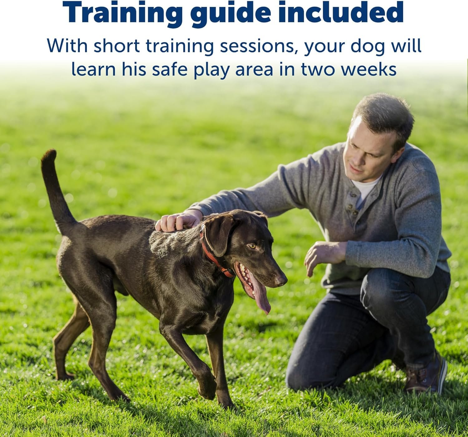 PetSafe Stay & Play Wireless Fence Receive Collar for Stubborn Dogs - Rechargeable & Waterproof Receiver Collar with Quick Charge in 2-3 Hours - for Dogs 5lb+ - Image 4