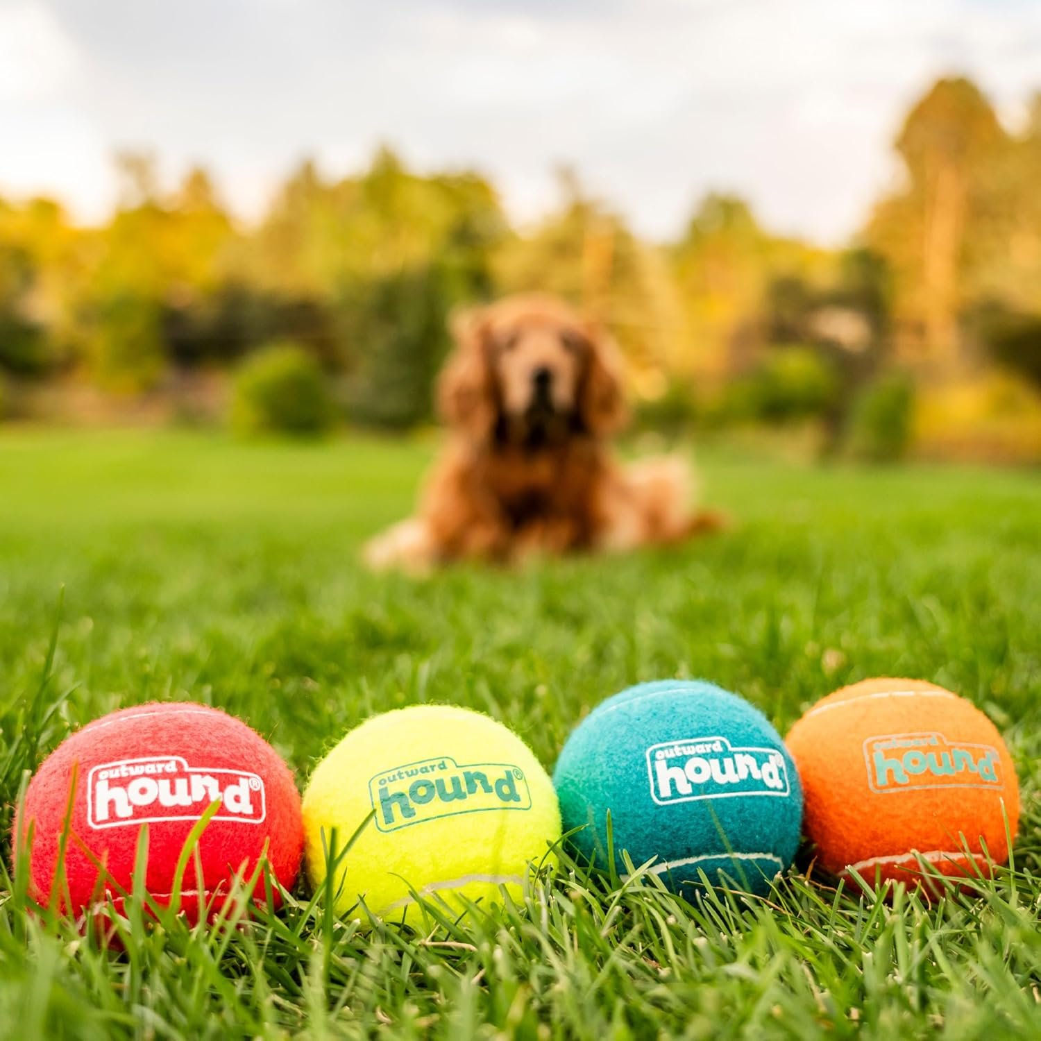 Outward Hound Squeaker Ballz 4-Pack Tennis Ball Dog Toys with Squeaker, Interactive Fetch Play for Pets 50 lbs and Over, Training Balls for Indoor & Outdoor Exercise, Large, 3-inch - Image 5