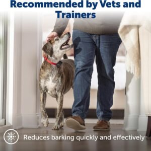 Alternative view of PetSafe Basic Bark Control Collar for Dogs 8 lb. and Up, Anti-Bark Training Device, Breeds, Waterproof, Static Correction, Canine - Automatic Dog Training Collar to Decrease Barking