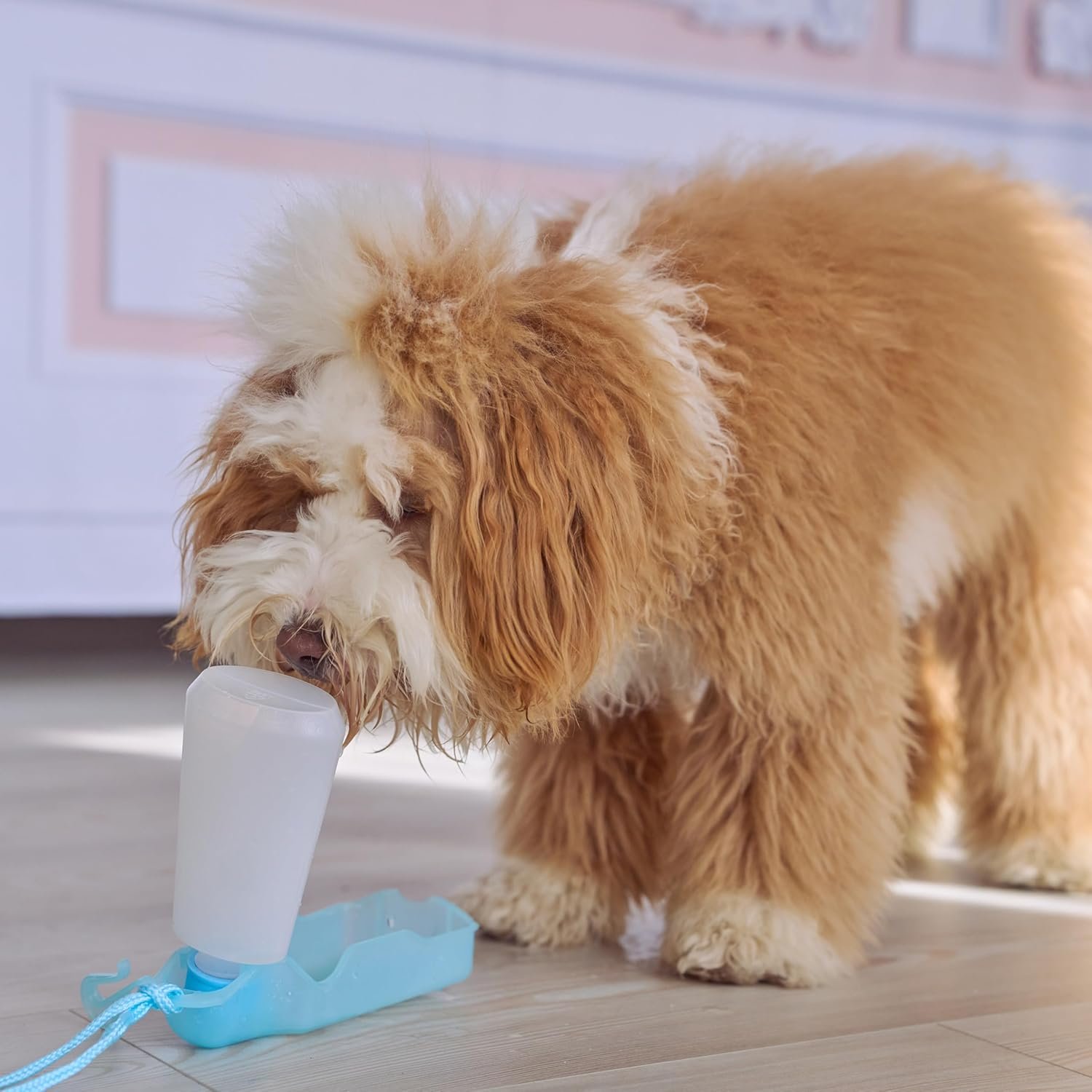 SPOT Pet Handi-Drink Mini Water Bottle – 9oz Travel Dog & Cat Water Dispenser with Fold-Out Trough, Sport Belt Clip & 60-Inch Carry Strap – Portable, Leak-Proof Hydration for Walks & Travel - Image 8