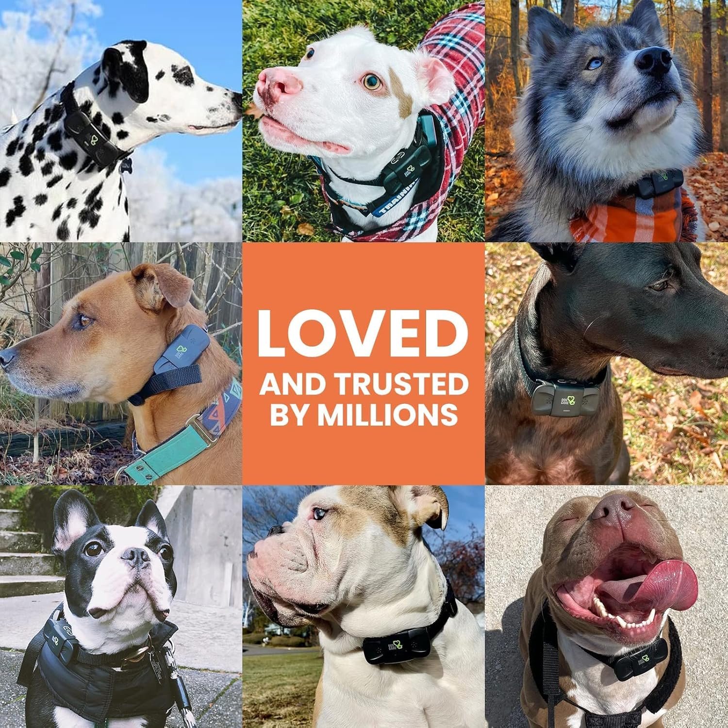 DOG CARE Dog Shock Collar with Remote, Dog Training Collars with 3 Modes, Waterproof Electronic Dog E Collar with 1500FT Remote, Keypad Lock for All Dogs - Image 7