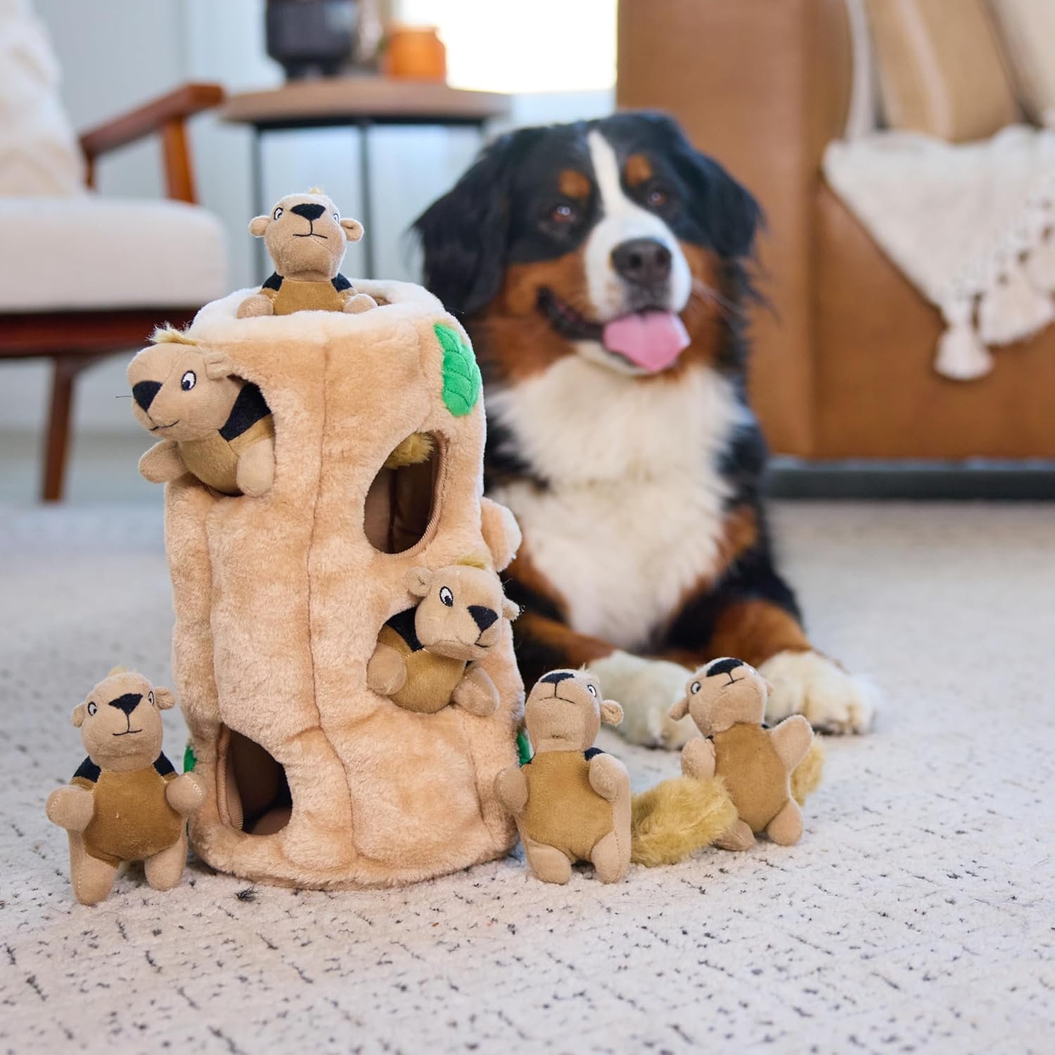 Outward Hound Hide A Squirrel Plush Dog Toy Puzzle, XL - Image 6