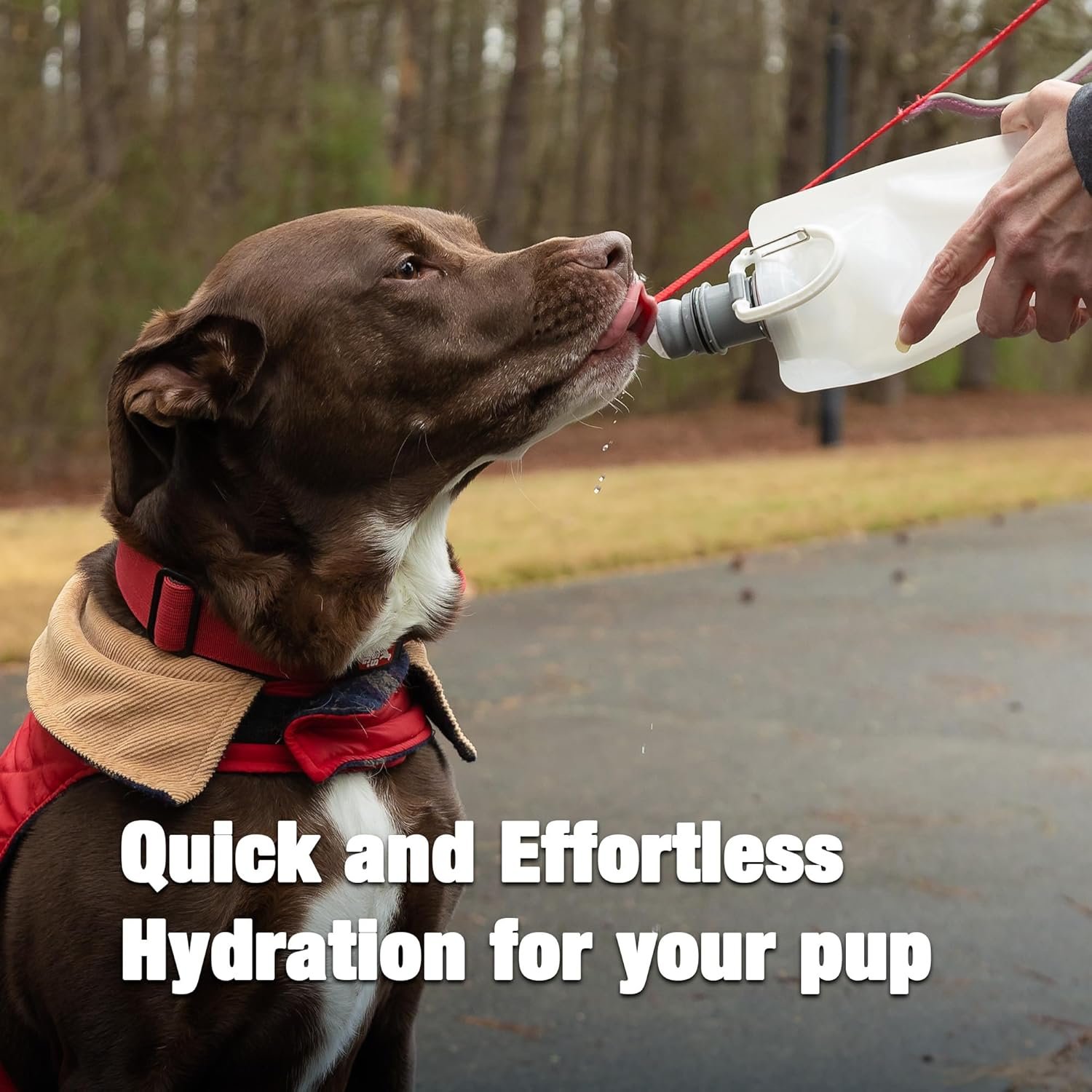 Vapur Collapsible Dog Water Bottle With Patented Lick Activated Design, Portable Hydration Water Dispenser for Walks, Hikes, and Travel, 23 Ounce, Water, Pack of 2 - Image 2