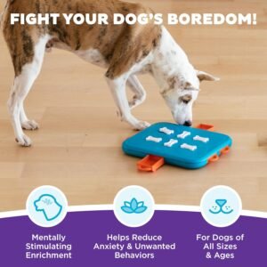 Alternative view of Outward Hound by Nina Ottosson Dog Casino Treat Puzzle Enrichment Toy, Level 3 Advanced, Turquoise