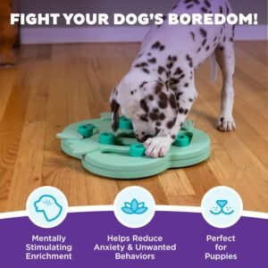 Alternative view of Outward Hound by Nina Ottosson Puppy Hide N' Slide Treat Puzzle Enrichment Dog Toy, Green