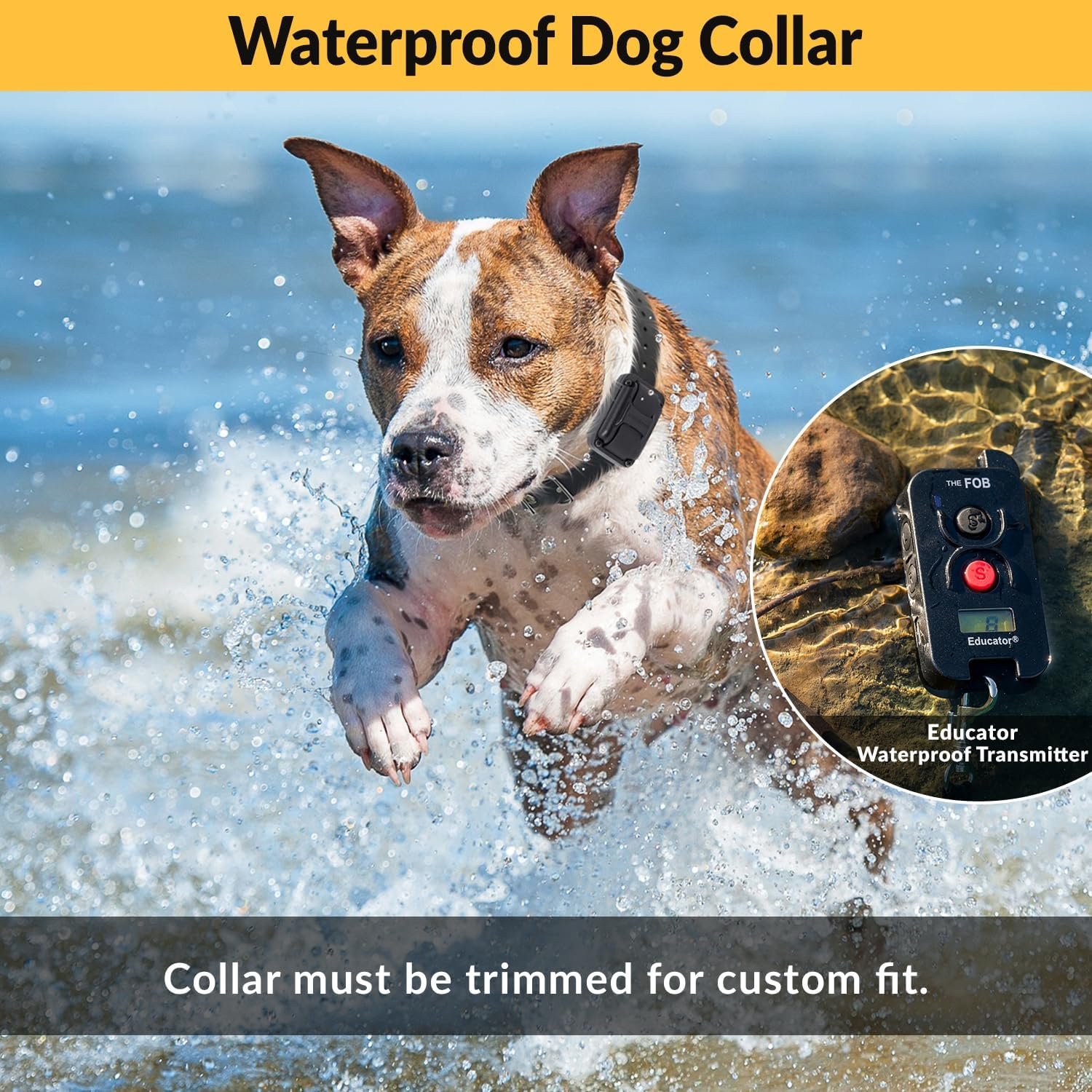 Educator FOB 300 Yard Dog Training Collar with Remote and Finger Button, Humane Stimulation, Pavlovian Tone, Waterproof, Odorproof Biothane Collar, Night Light, Rechargeable, 1 Dog (USA Only), Black - Image 5