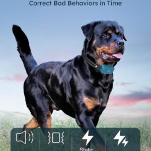 Alternative view of Jugbow Dog Shock Collar 2 Dogs - 4200FT Dog Training Collars with Remote, IPX8 Waterproof E-Collar for Dogs Training Rechargeable e-Collars for Large Medium Small Dogs (10-120lbs)