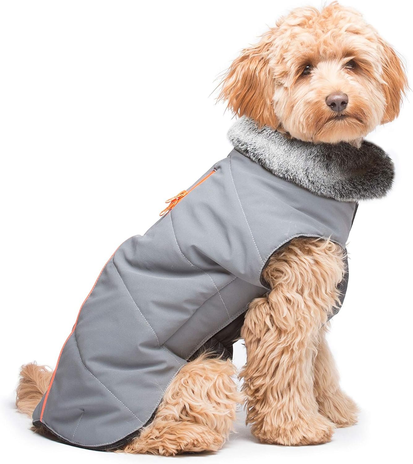Dog Gone Smart Pet Products Meteor Tamarack Reflective Coat Jacket, Gray w/Orange Piping, 18"