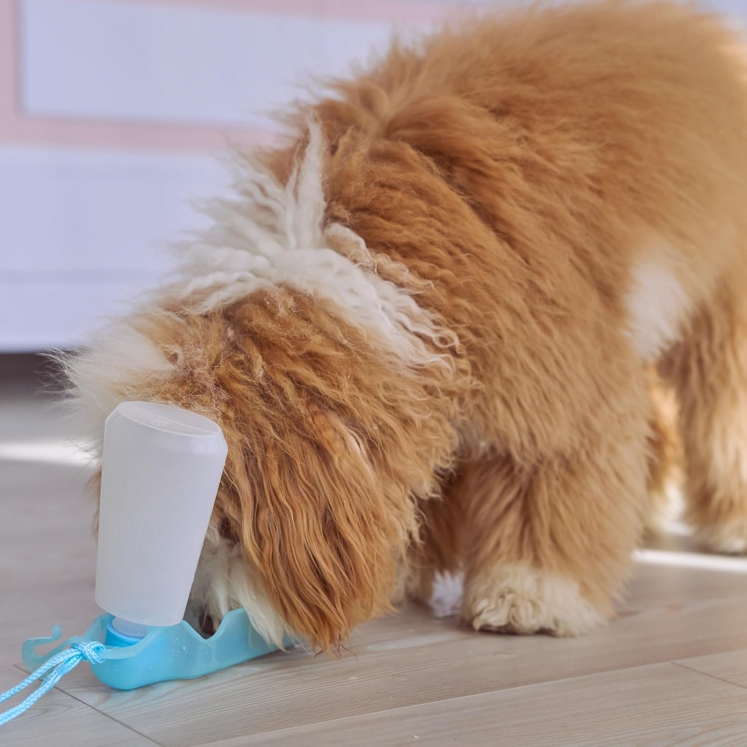 SPOT Pet Handi-Drink Mini Water Bottle – 9oz Travel Dog & Cat Water Dispenser with Fold-Out Trough, Sport Belt Clip & 60-Inch Carry Strap – Portable, Leak-Proof Hydration for Walks & Travel - Image 7