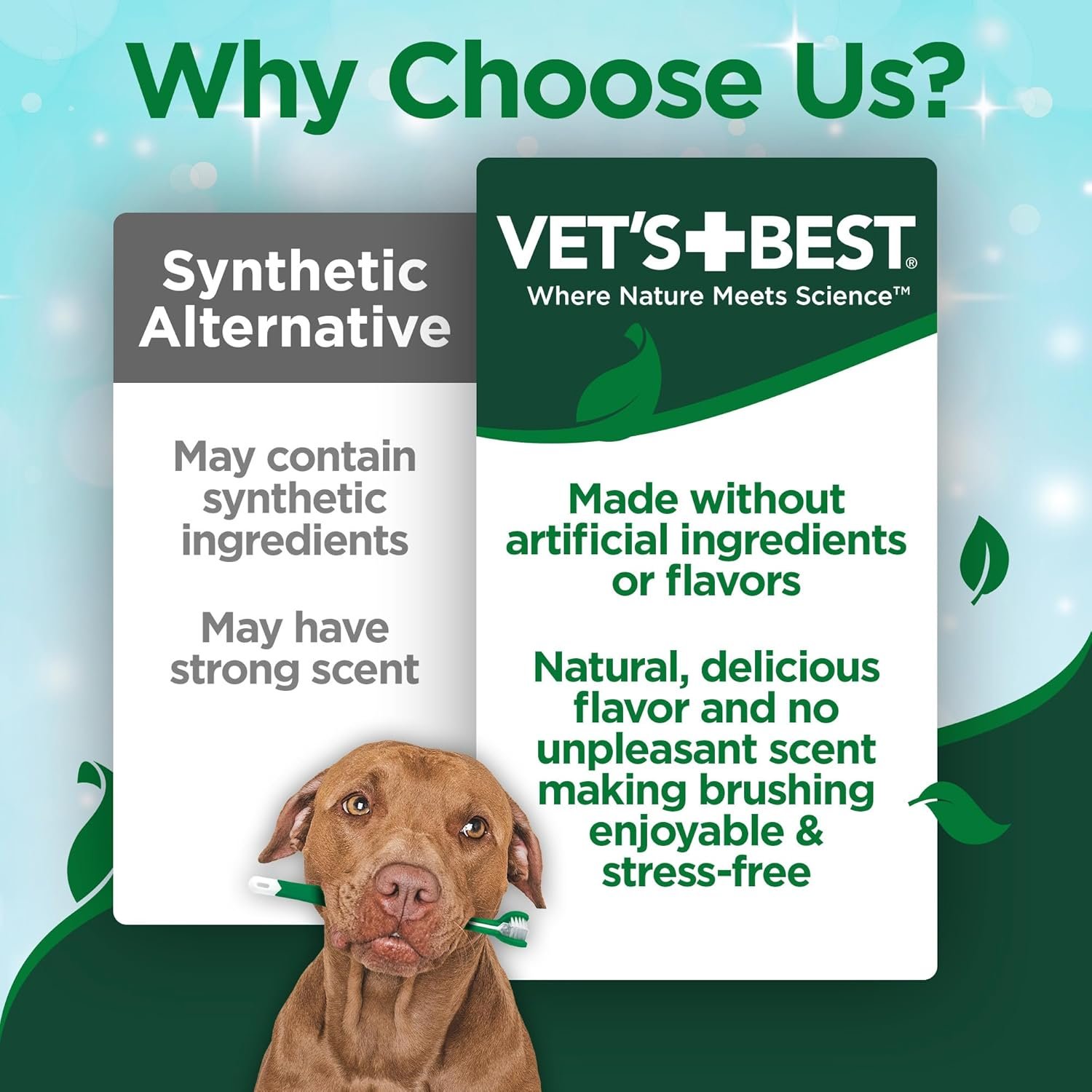 Vet’s Best Enzymatic Dog Toothpaste – Vet Formulated Dental Gel for Teeth Cleaning, Fresh Breath, Tartar Control, Plaque Remover & Oral Hygiene for Dogs, 3.5 oz - Image 2