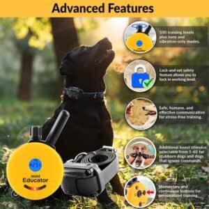 Alternative view of Educator 1/2 Mile Remote Dog Training System Plus E-Collar 101 Training DVD, Safe Humane Stimulation, Pavlovian Tone, Waterproof, Odorproof Biothane Collar, Night Light, Rechargeable, 1 Dog, Yellow