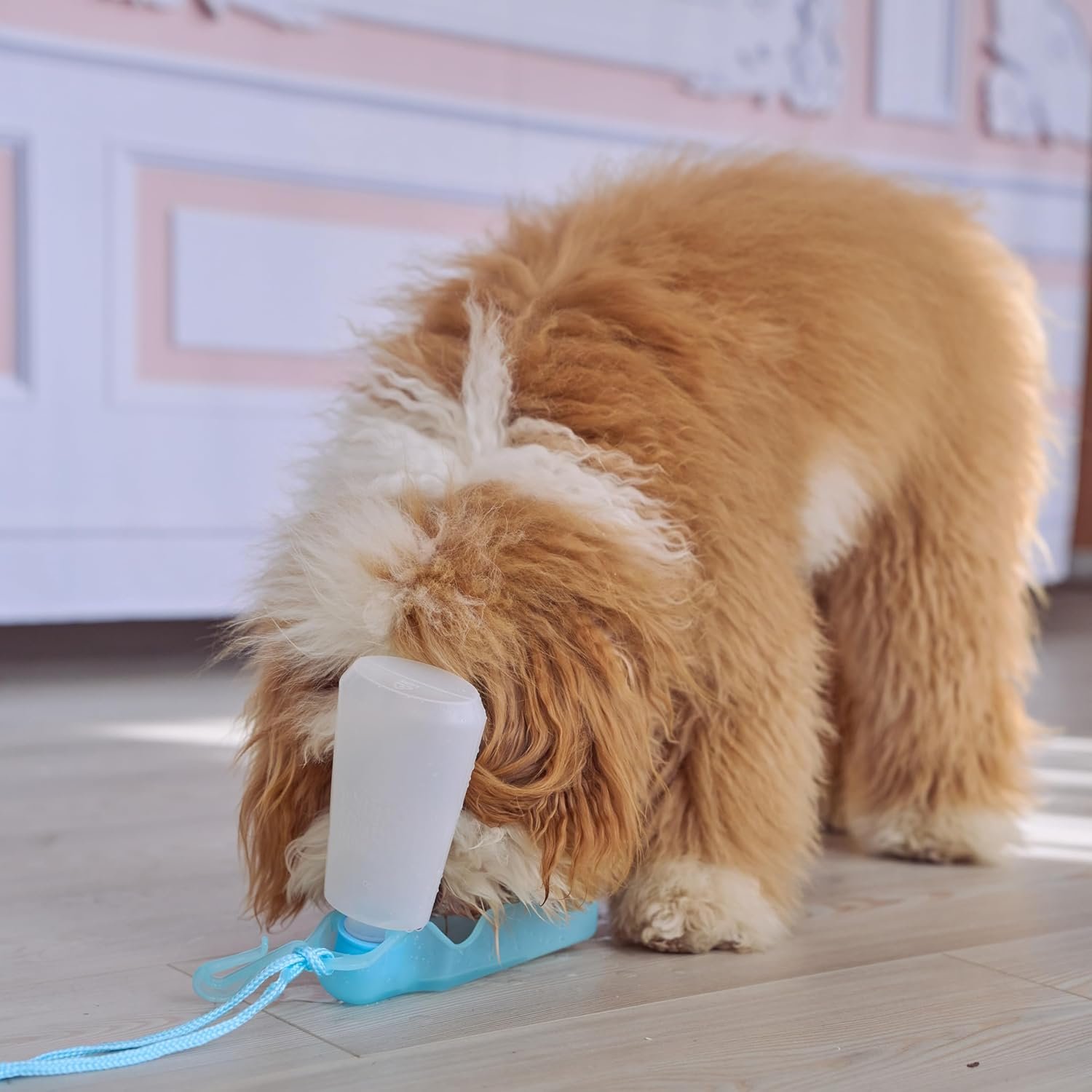 SPOT Pet Handi-Drink Mini Water Bottle – 9oz Travel Dog & Cat Water Dispenser with Fold-Out Trough, Sport Belt Clip & 60-Inch Carry Strap – Portable, Leak-Proof Hydration for Walks & Travel - Image 9