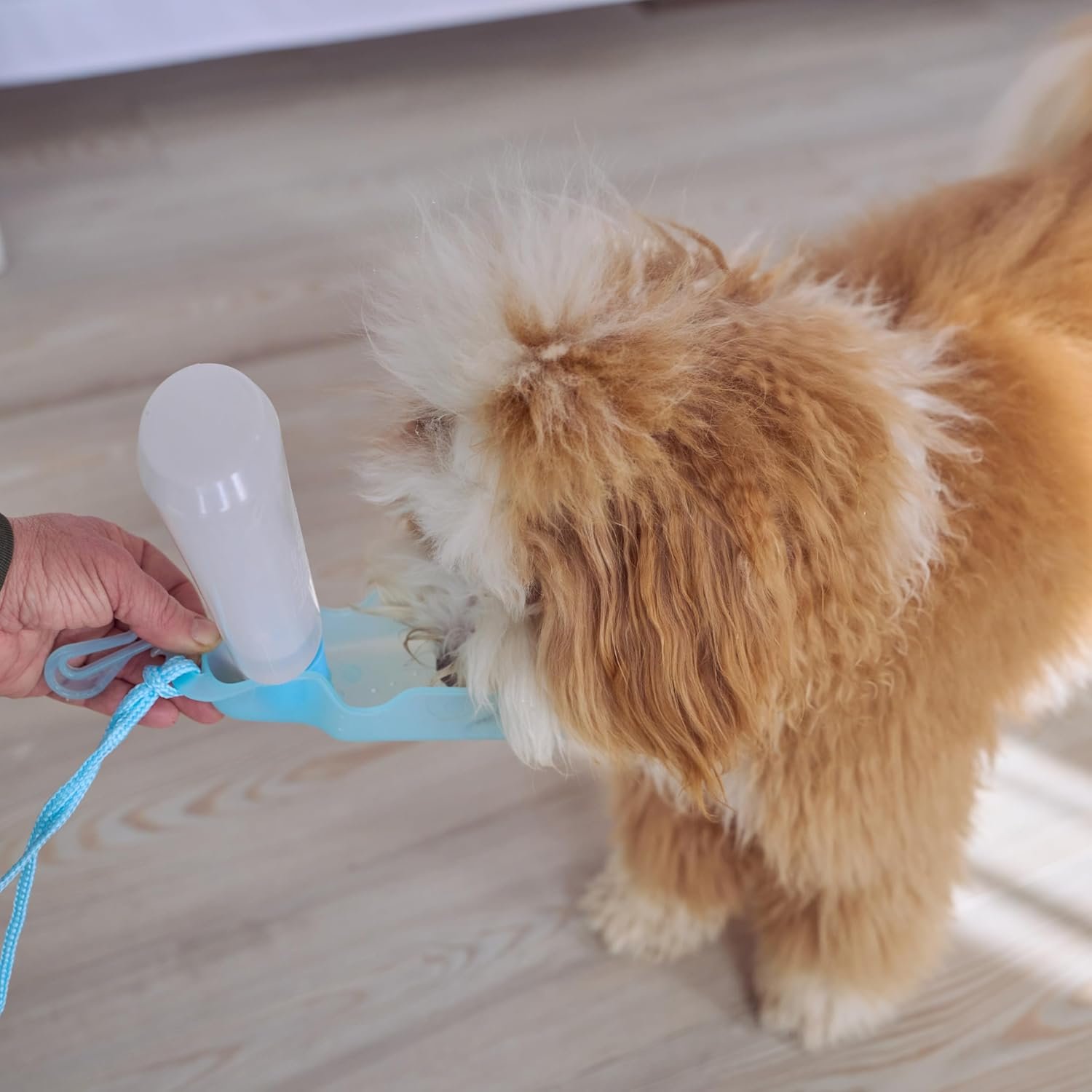 SPOT Pet Handi-Drink Mini Water Bottle – 9oz Travel Dog & Cat Water Dispenser with Fold-Out Trough, Sport Belt Clip & 60-Inch Carry Strap – Portable, Leak-Proof Hydration for Walks & Travel - Image 5