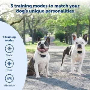 Alternative view of PetSafe Add-A-Dog Remote Training Collar – Perfect for Small, Medium and Large Dogs – Choose from Tone, Vibration, or 15 Levels of Static Stimulation – Waterproof and Durable – Rechargeable