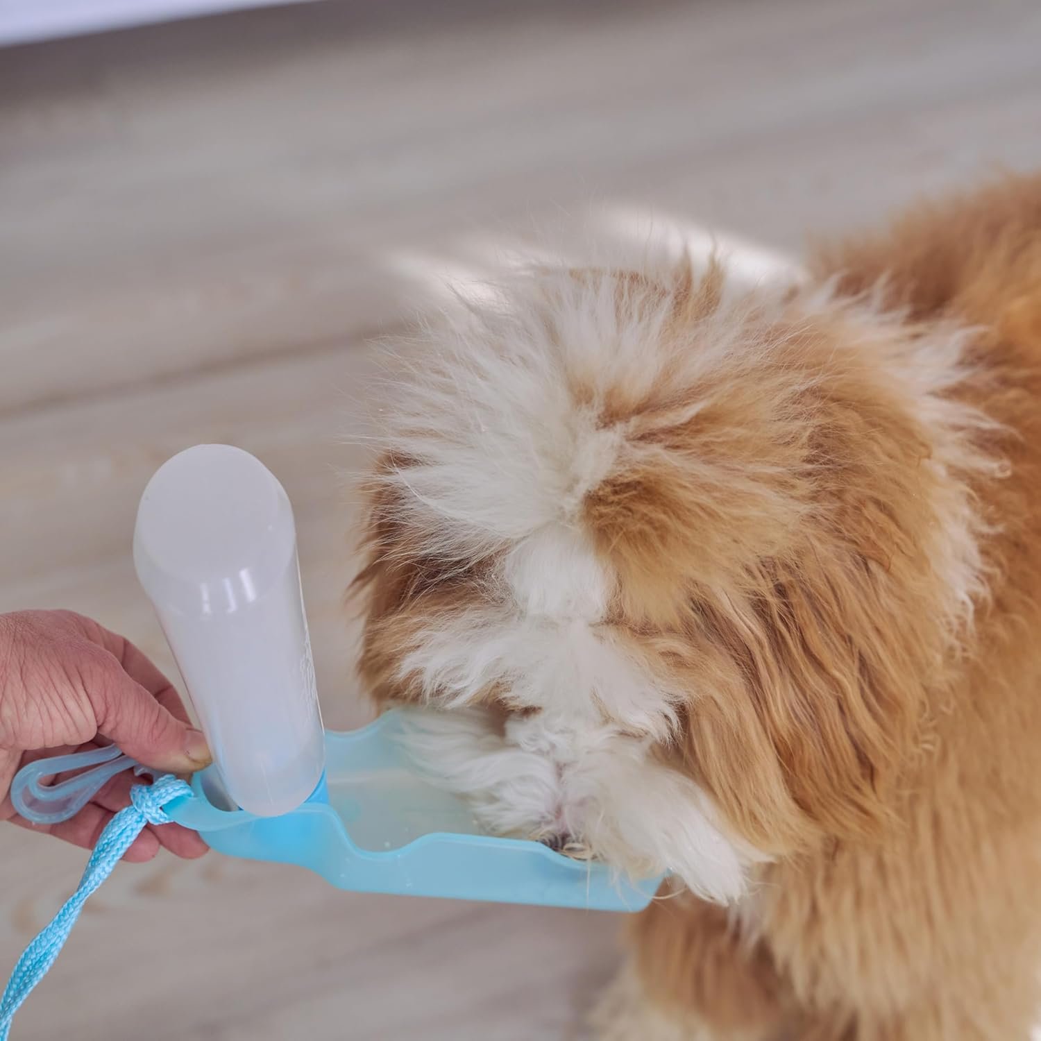 SPOT Pet Handi-Drink Mini Water Bottle – 9oz Travel Dog & Cat Water Dispenser with Fold-Out Trough, Sport Belt Clip & 60-Inch Carry Strap – Portable, Leak-Proof Hydration for Walks & Travel - Image 4