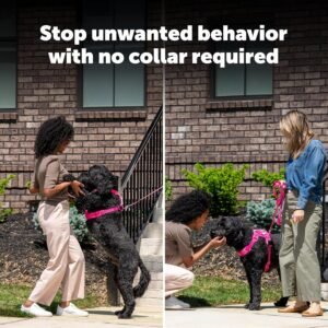 Alternative view of PetSafe Collarless Trainer – Ultrasonic Bark Deterrent – Handheld Anti Bark Device – High-pitched Sound, Flashing Light and Variable Tone – Rechargeable Battery – Flashlight – Wrist Strap