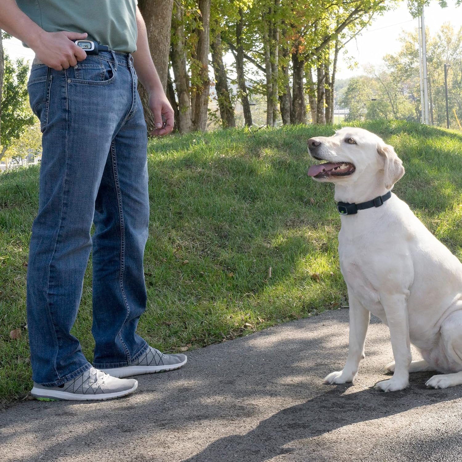 PetSafe Remote Trainer Transmitter Belt Clip 100, 300, 600 and 900 Yard Remote Trainers and Lite Remote Trainers - Image 6