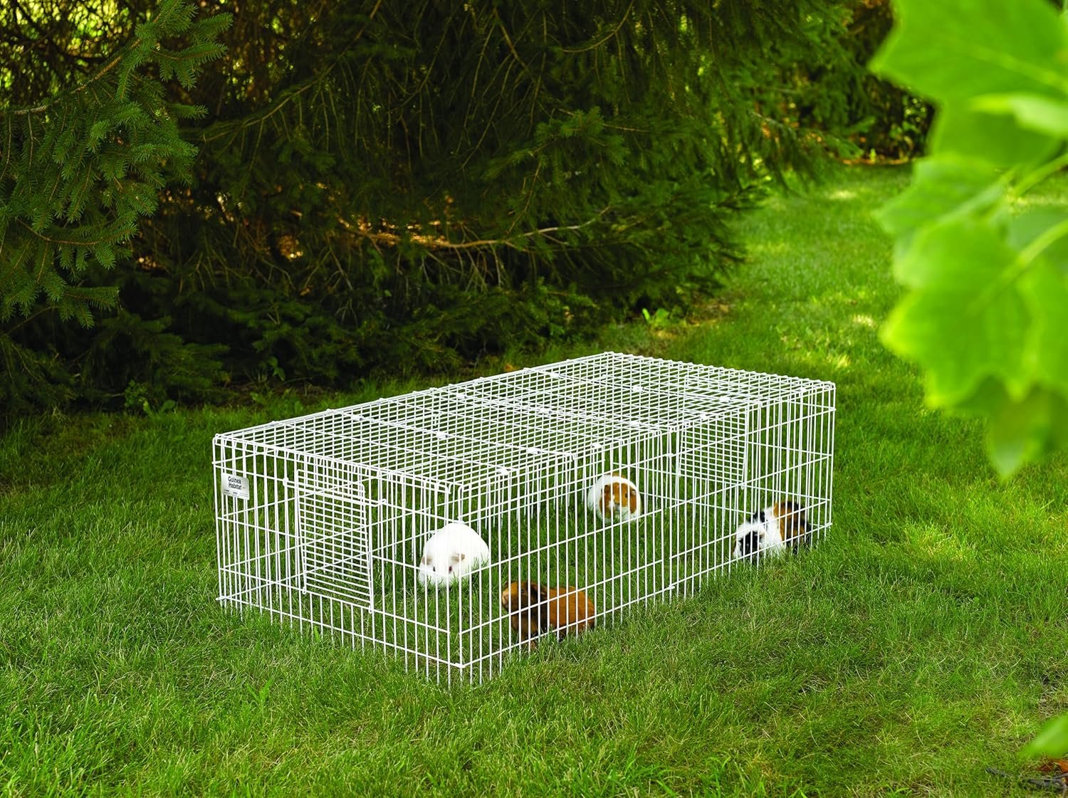 MidWest Homes for Pets Guinea Habitat Plus Cage, Includes Divider Panel and Hinged Top, Washable PVC Canvas Bottom, Expandable Small Animal Cage for Guinea Pigs, 171GHP - Image 5