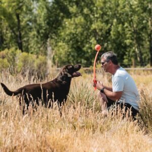 Alternative view of Chuckit! Sport 26L Dog Ball Launcher - Includes a 3-inch Diameter Large Ball for Dogs 60-100 Pounds - Manual Thrower for Dog Balls With a Slim Ergonomic Handle - 26-inch Length