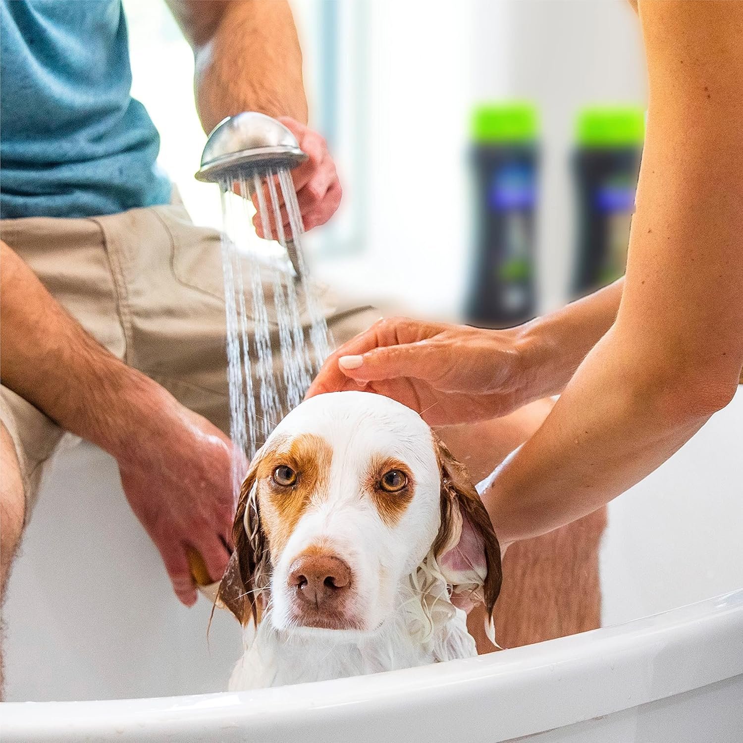 FURminator deShedding Kit, deShedding Shampoo, deShedding Conditioner, deShedding Waterless Spray, For Dogs, 40.5 oz (Set of 3) - Image 6