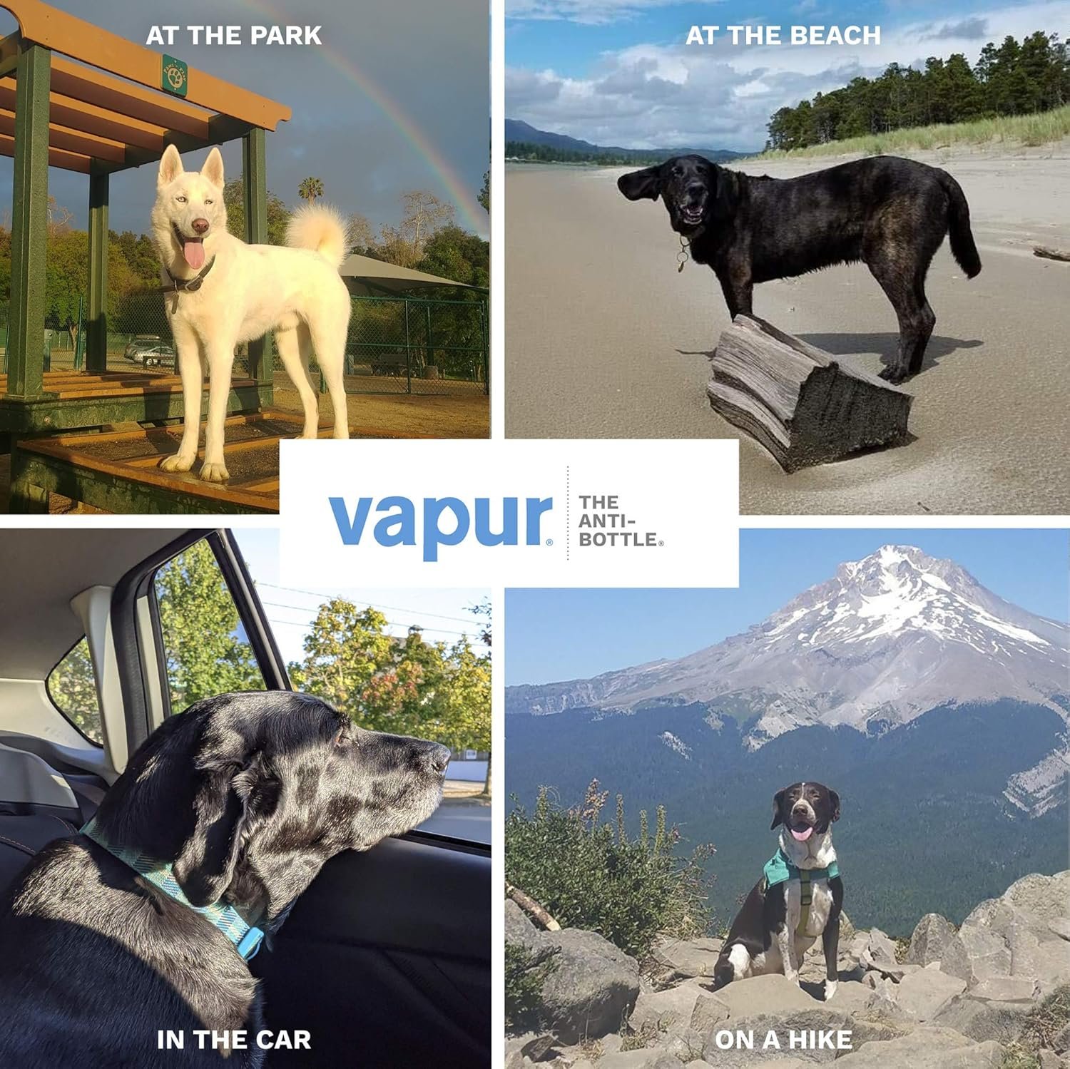 Vapur Collapsible Dog Water Bottle With Patented Lick Activated Design, Portable Hydration Water Dispenser for Walks, Hikes, and Travel, 23 Ounce, Water, Pack of 2 - Image 7