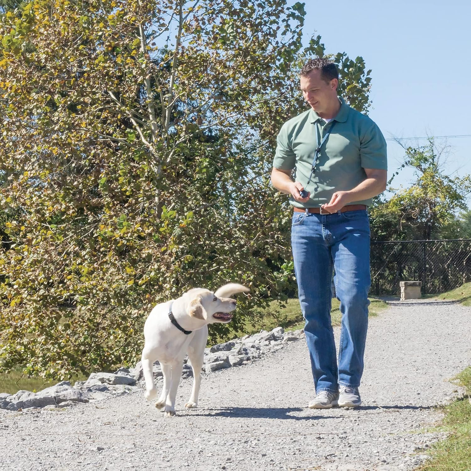 PetSafe Remote Trainer Transmitter Lanyard 100, 300, 600 and 900 Yard Remote Trainers and Lite Remote Trainers - Image 6