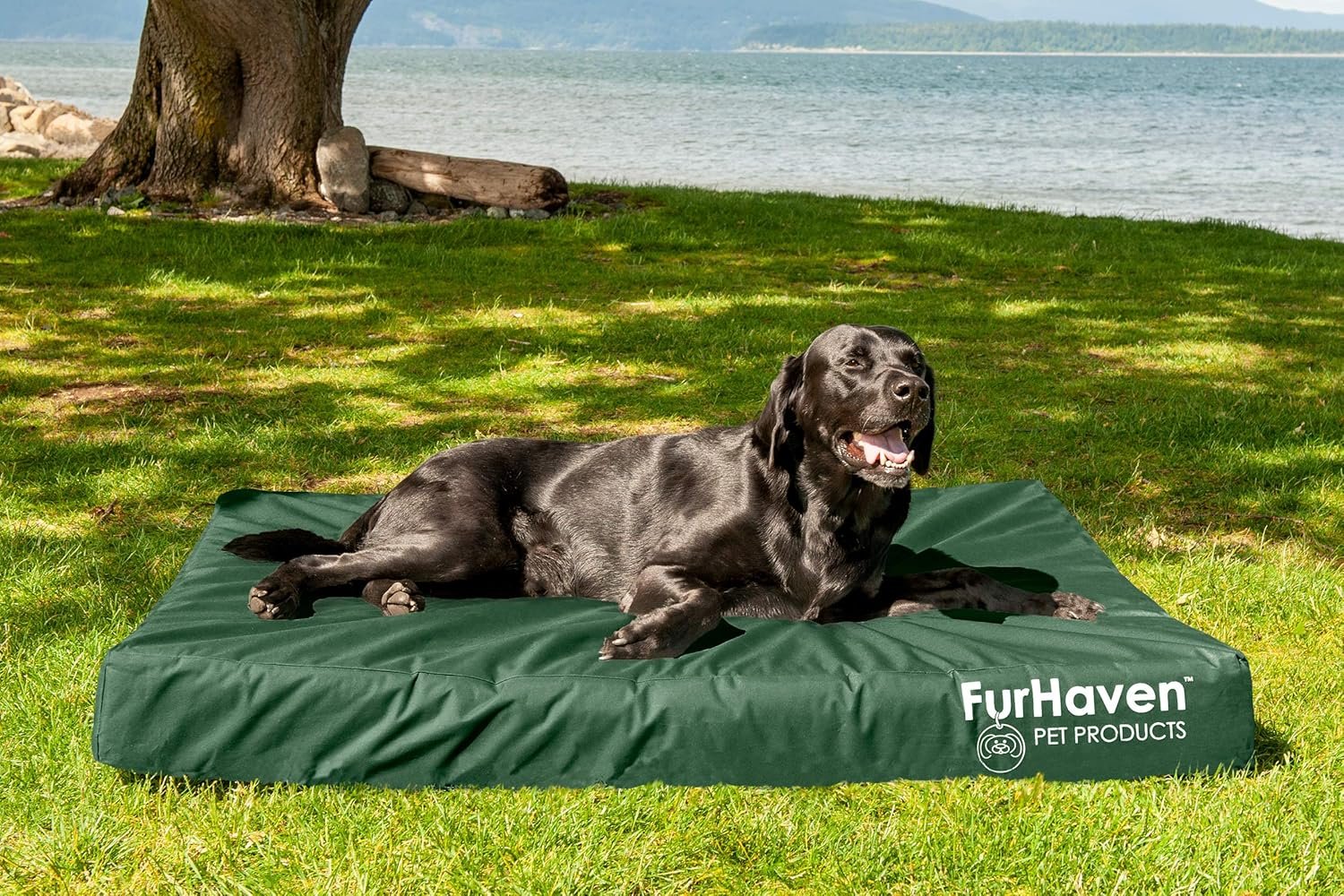 Furhaven Water-Resistant Orthopedic Dog Bed for Large Dogs w/ Removable Washable Cover, For Dogs Up to 125 lbs - Indoor/Outdoor Logo Print Oxford Polycanvas Mattress - Deep Lagoon, Jumbo Plus/XXL - Image 3