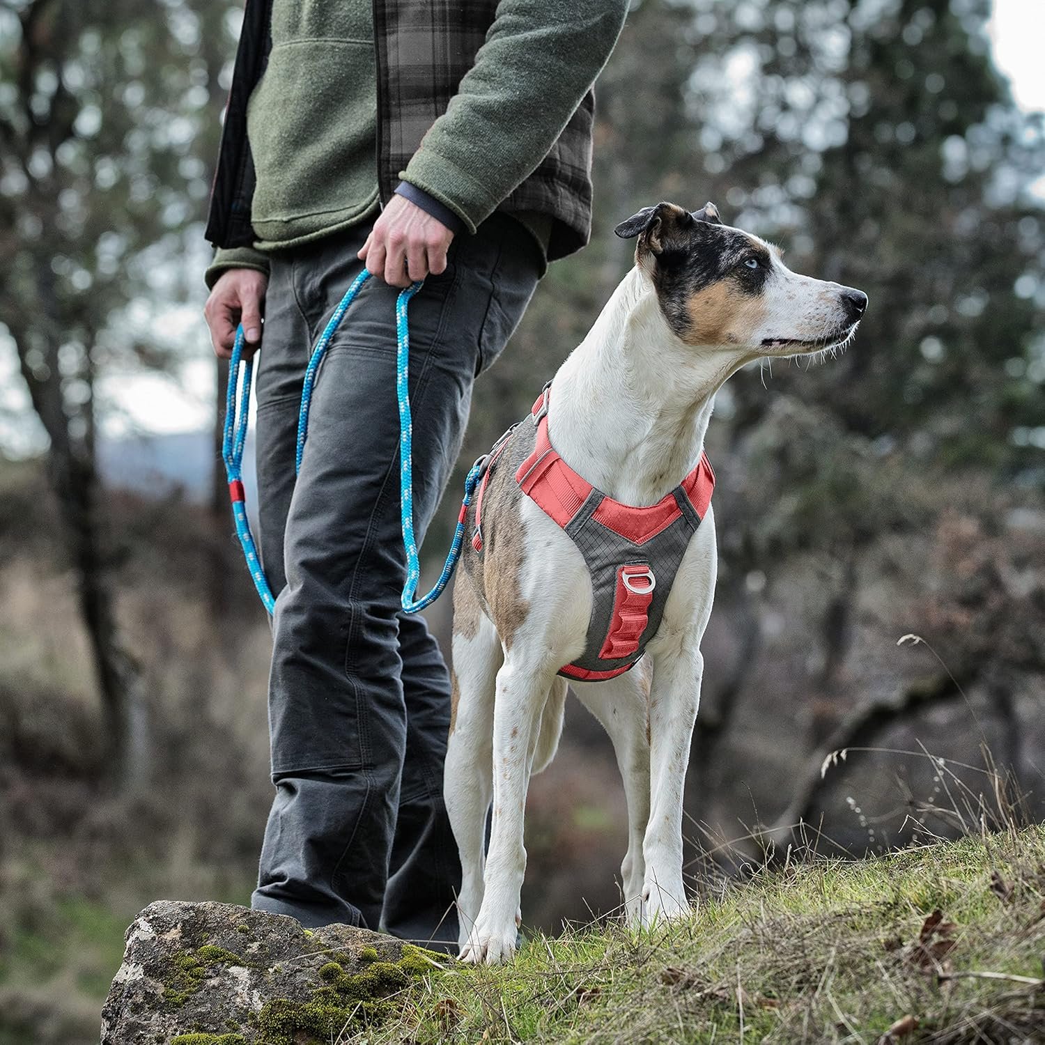 Kurgo Journey Air Dog Harness, Vest Harnesses for Dogs, Pet Hiking Harness for Running & Walking, Reflective, Padded, Includes Control Handle, No Pull Front Clip (Coral, Medium) - Image 6