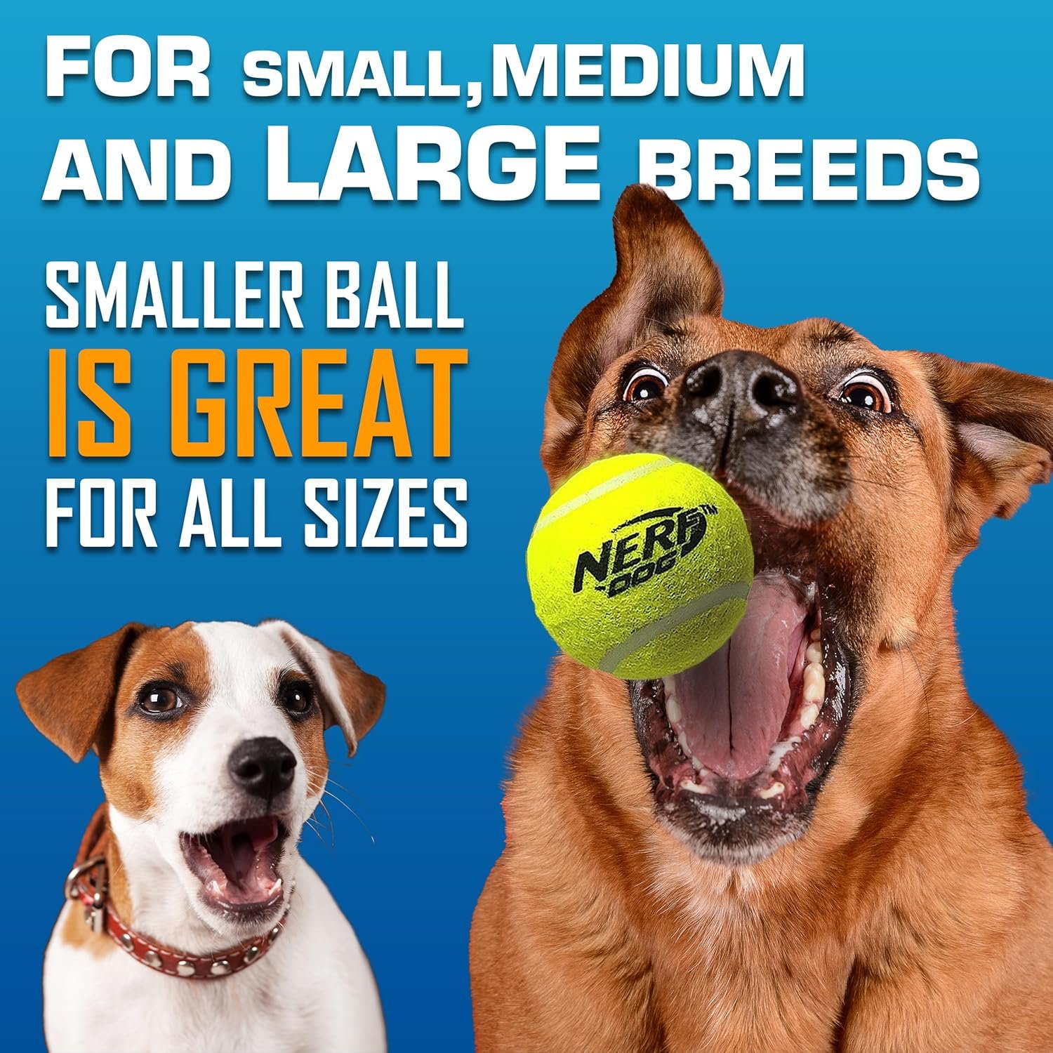 Nerf Dog Tennis Ball Blaster Dog Toy Gift Set, Tennis Ball Dog Fetch Toy Launches up to 50 ft, Dog Ball Thrower for All Breeds Includes Translucent Blue Tennis Ball Launcher and 3 Dog Tennis Balls - Image 6