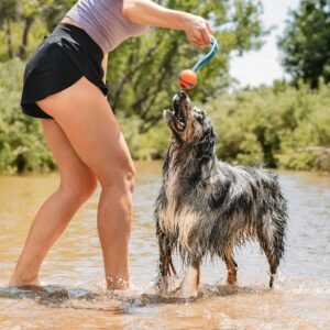 Alternative view of Chuckit! Ultra Duo Tug Dog Toy - Two Ultra Balls on a Durable Nylon Cord Handle - Fetch and Tug-of-War Toy for Dogs - Size Medium - For Breeds 20-60 lbs - 2.5-inch Diameter - Orange and Blue