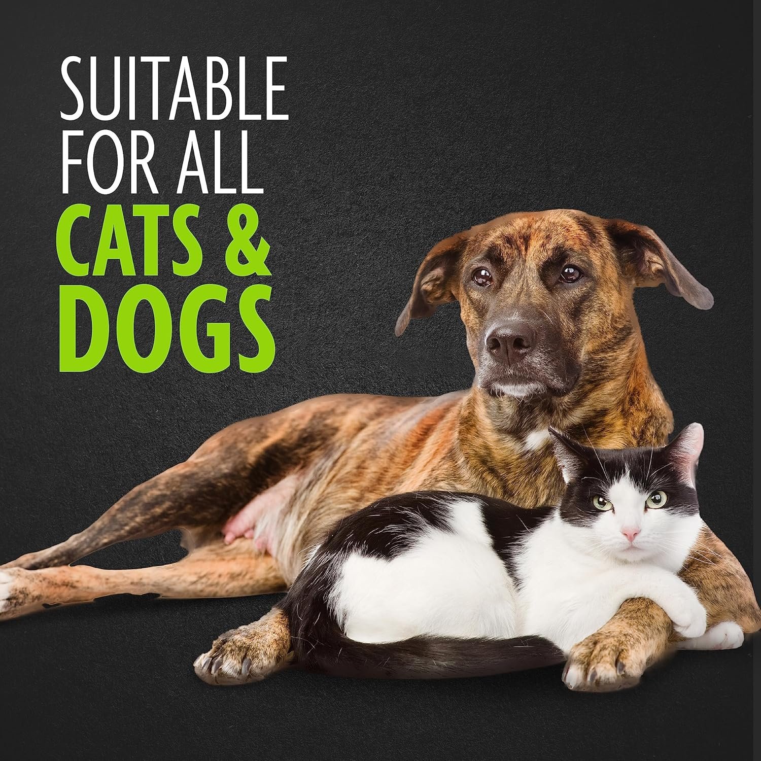 FURminator Bathing Brush, Dog Bath Brush, Loosens Pet Hair, Dispenses Shampoo and Conditioner, Gray - Image 4