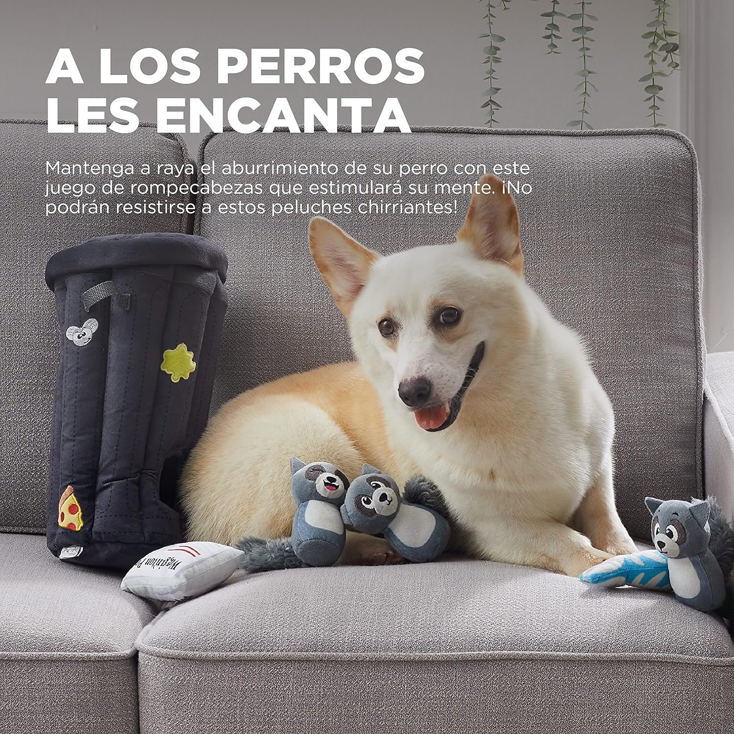 Outward Hound Hide A Raccoon Plush Dog Toy Puzzle - Image 2