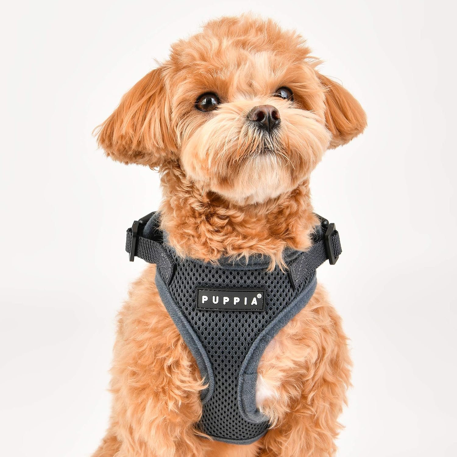 Authentic Puppia RiteFit Harness with Adjustable Neck, Pink, Medium - Image 4