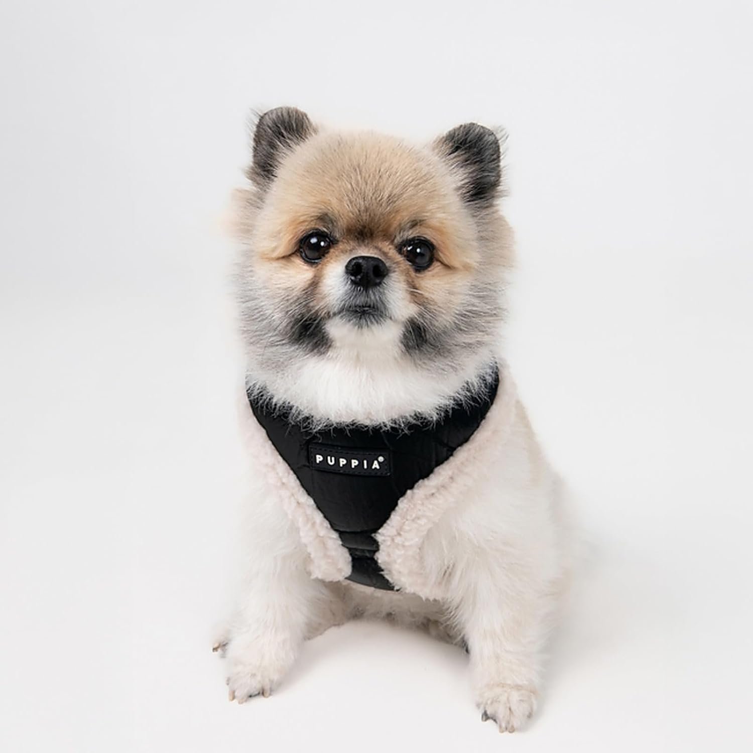 Puppia Winterstride Dog Harness Over-the-Head Warm Winter Harness Adjustable Chest for Small Dog, Black, Large - Image 4