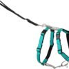PetSafe Easy Walk 3 in 1 No Pull Dog Harness, Teal, Small