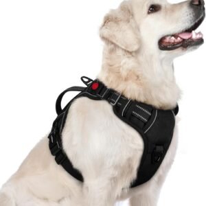 rabbitgoo Large Dog Harness, Easy Wear with 3 Buckles and Lift Handle