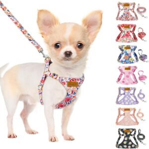 SlowTon No Pull Dog Harness with Leash for Small Medium Dogs, Flower XXS