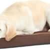 BarkBox Orthopedic Dog Bed - Large