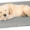PetFusion PuppyChoice Dog Crate Bed, 24 Inch, Portable Handle, Solid Foam