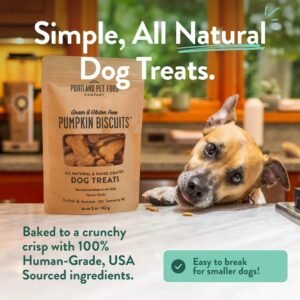 Alternative view of Portland Pet Food Pumpkin Dog Treats, Healthy, Grain-Free Biscuits 3 Pack
