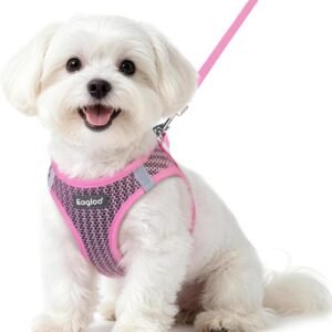 Eagloo Small Dog Harness and Leash Set, Step in Small Sized Puppy Pet Vest