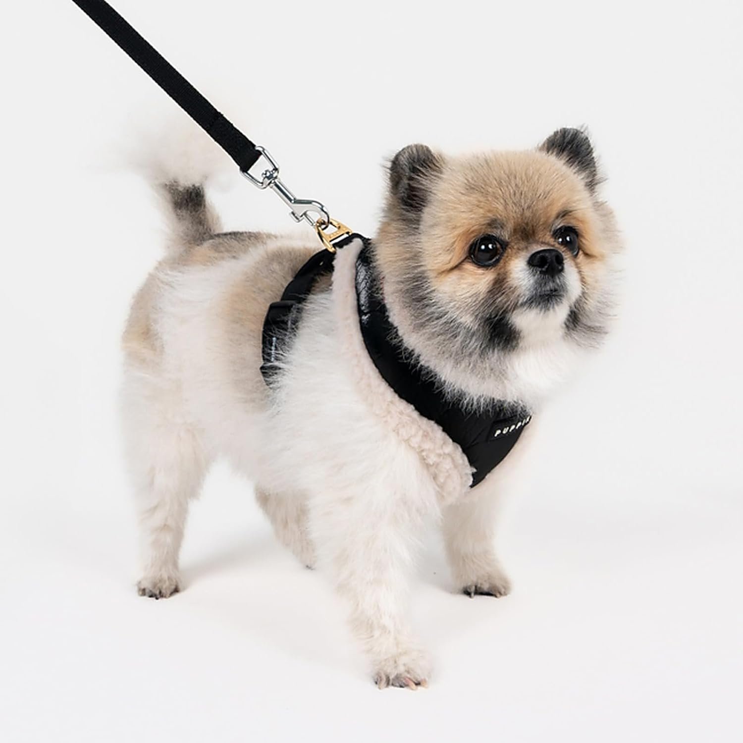 Puppia Winterstride Dog Harness Over-the-Head Warm Winter Harness Adjustable Chest for Small Dog, Black, Large - Image 6