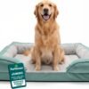 FurHaven Cooling Gel Dog Bed for Large Dogs, Comfort Sofa Bed with Cool Gel-Top Foam with a Solid Orthopedic Foam Base for Joint Support, Washable Cover, Jumbo XL, Plush & Velvet, Celadon Green.