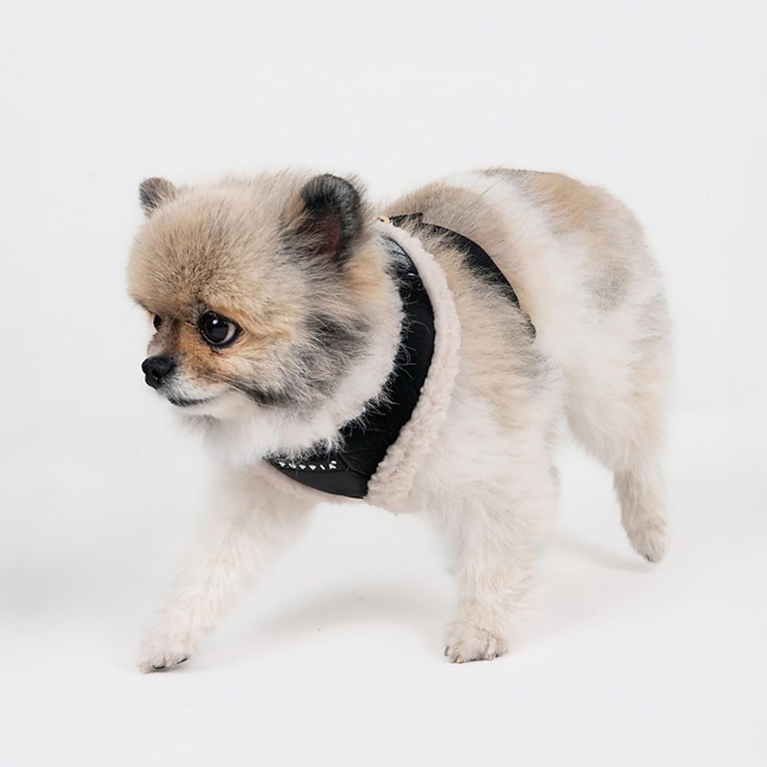 Puppia Winterstride Dog Harness Over-the-Head Warm Winter Harness Adjustable Chest for Small Dog, Black, Large - Image 5