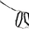 PetSafe 3 in 1 No-Pull Dog Harness - Walk, Train or Travel - Helps Prevent Pets from Pulling on Walks - Seatbelt Loop Doubles as Quick Access Handle - Reflective Accents - Extra Small, Black