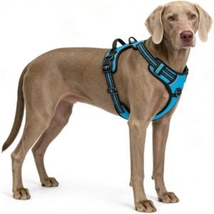 Blue No-Pull Dog Harness with 2 Leash Clips，Soft Padded Vest for Large Dog, Adjustable Reflective Dog Vest Easy to Put on and Take Off, (Neck: 17"~24", Chest: 24"~32",Blue L)
