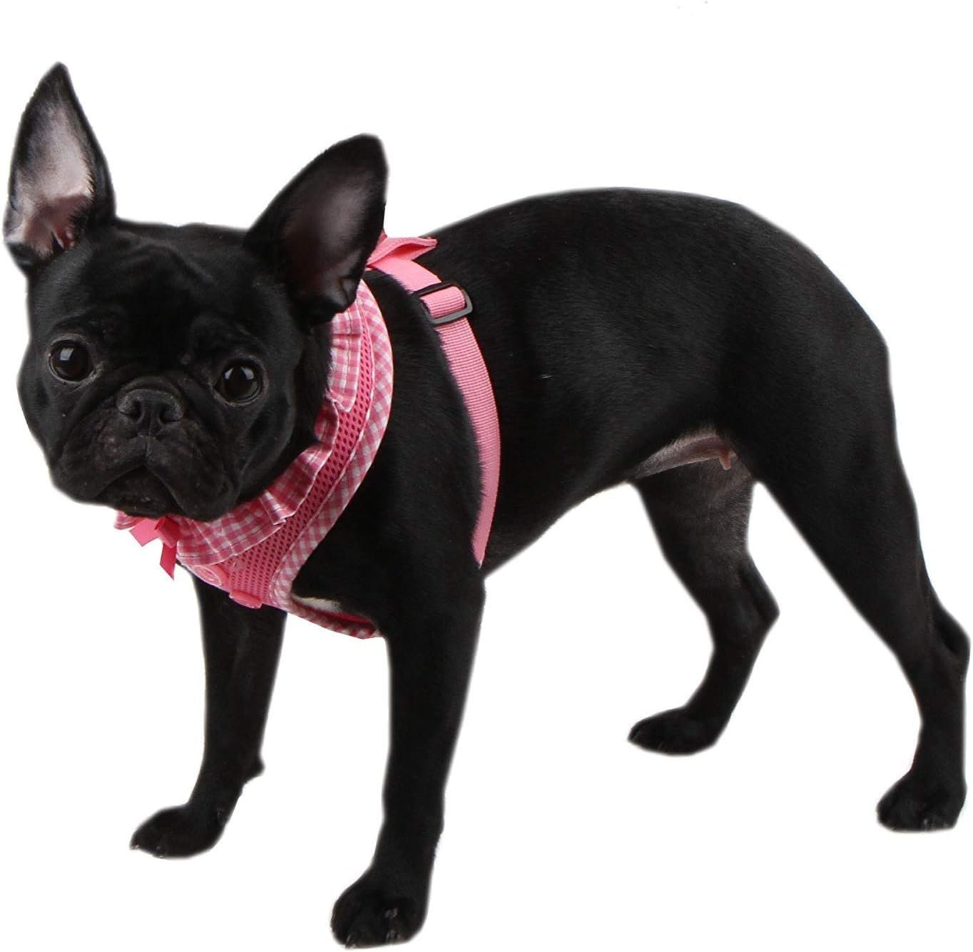 Authentic Puppia Vivien Harness, Pink, Small - Image 5