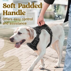 Alternative view of rabbitgoo Large Dog Harness, Easy Wear with 3 Buckles and Lift Handle